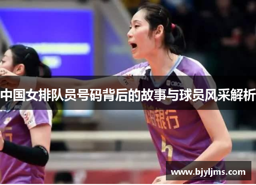 中国女排队员号码背后的故事与球员风采解析
